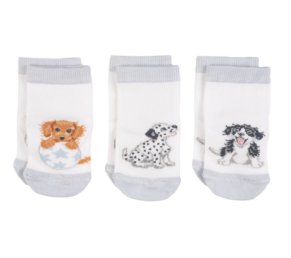 Wrendale ‘Little Paws’ Dog Baby Socks