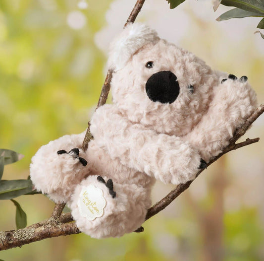 Kingston the Koala Plush (Sitting 22cm)