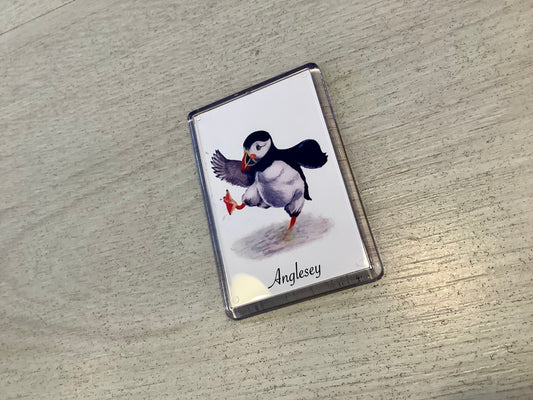 Puffin Prints Paddlin’ Puffin Anglesey Magnet