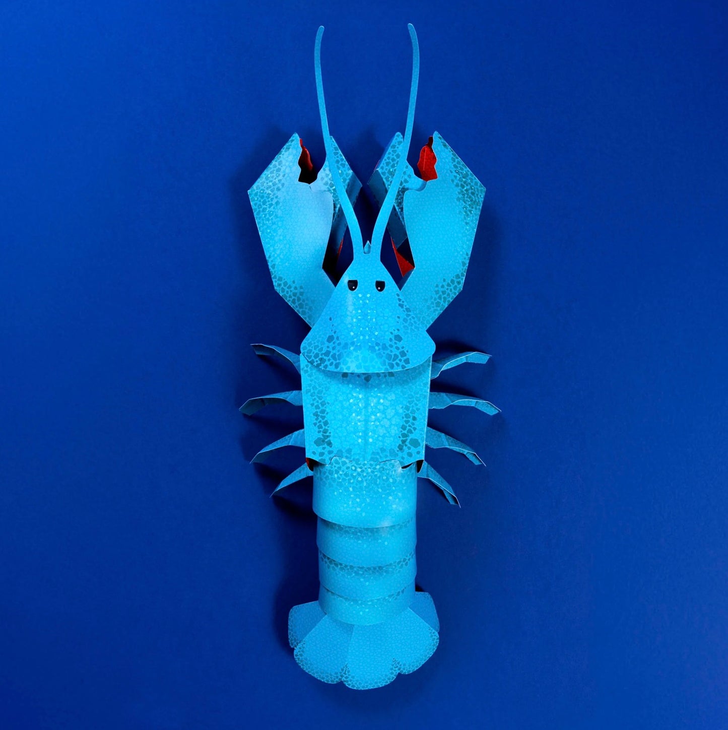 Clockwork Soilder Make Your Own Loveable Lobster