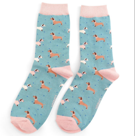 Miss Sparrow Sausage Dog & Spots Socks Duck Egg