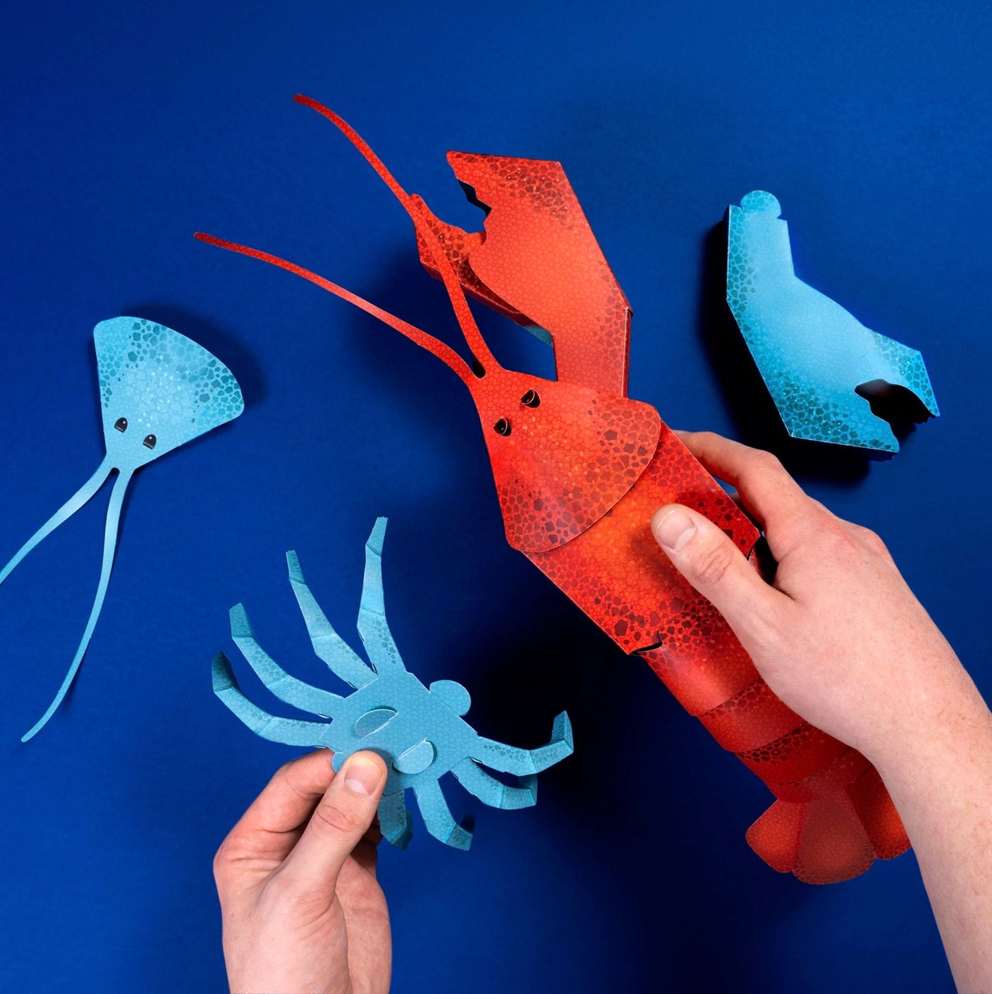 Clockwork Soilder Make Your Own Loveable Lobster