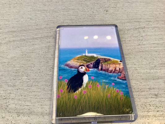 Puffin Prints Southstack Magnet
