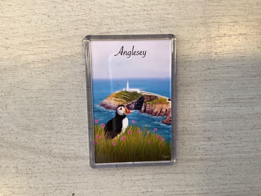 Puffin Prints Southstack Anglesey Magnet