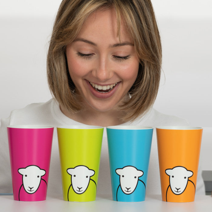 Hello Picnic Tumbler Set