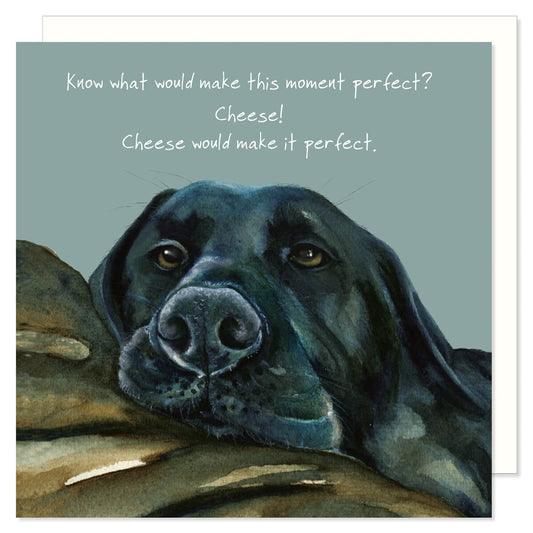 Card - Black Labrador cheese moment