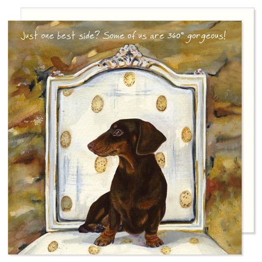 Card - Dachshund 360