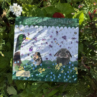 Little Things 2026 Alex Clarke Calendar