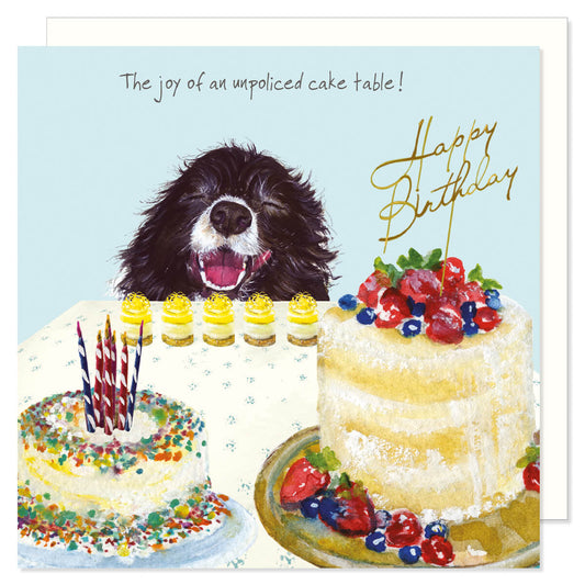 Card -  Border Collie Birthday Card by the Little Dog Laughed