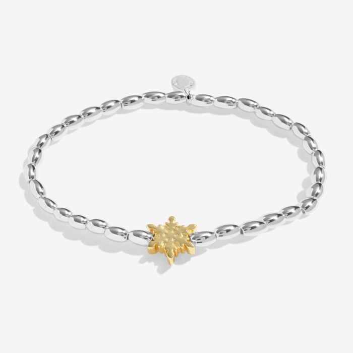 Christmas Wish 'Winter Wishes' Bracelet