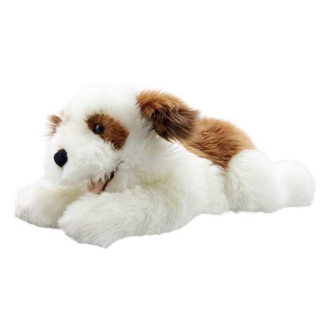 Brown & White – Playful Puppies