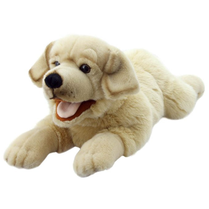 Labrador – Yellow – Playful Puppies