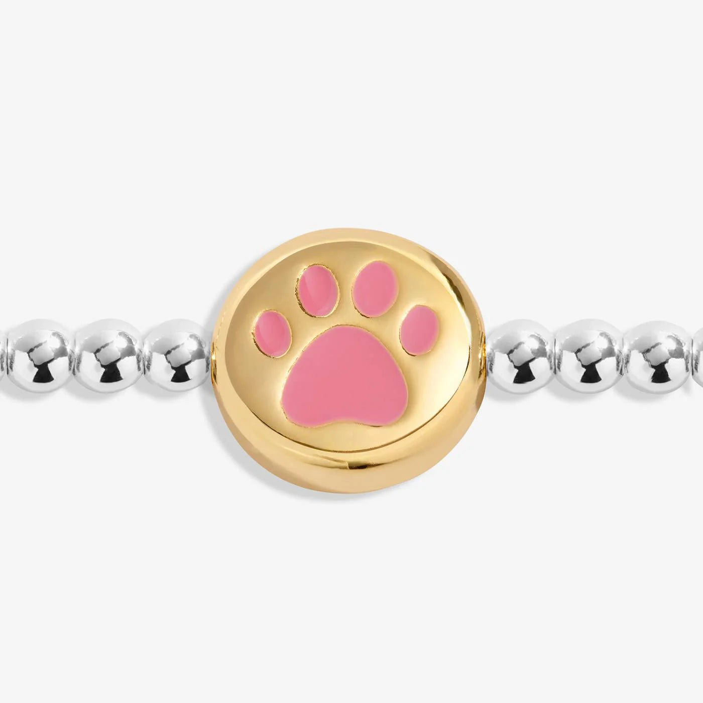 A Little 'Pawsitive Vibes' Bracelet In Silver and Gold Plating