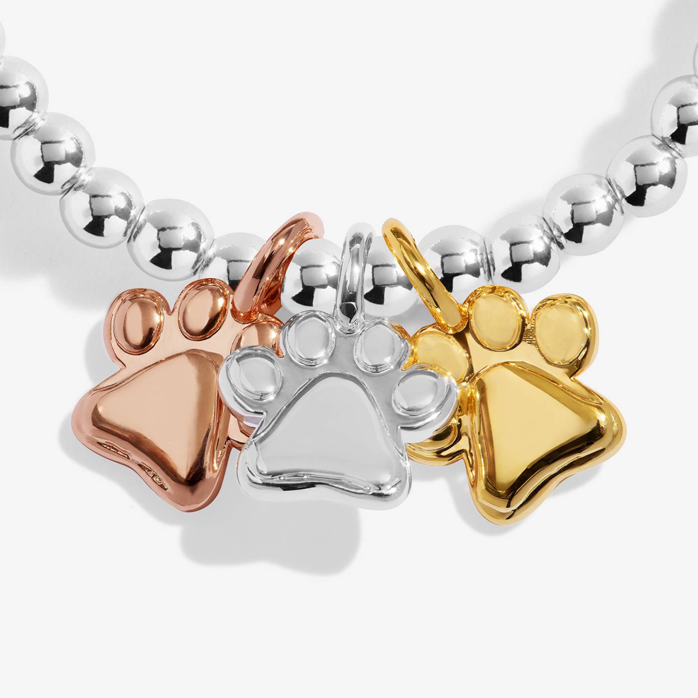 A Little Charmed Moments 'Perfect Paw Print' Bracelet In Silver, Gold, and Rose Gold Plating