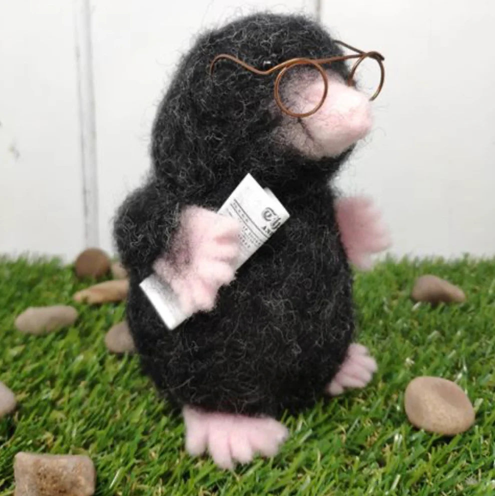 Mr Mole Needle Felting Kit