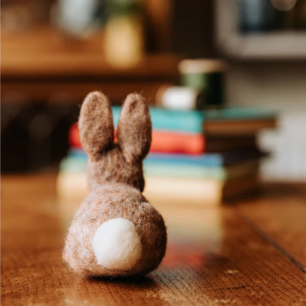 Baby Bunny Needle Felting Kit