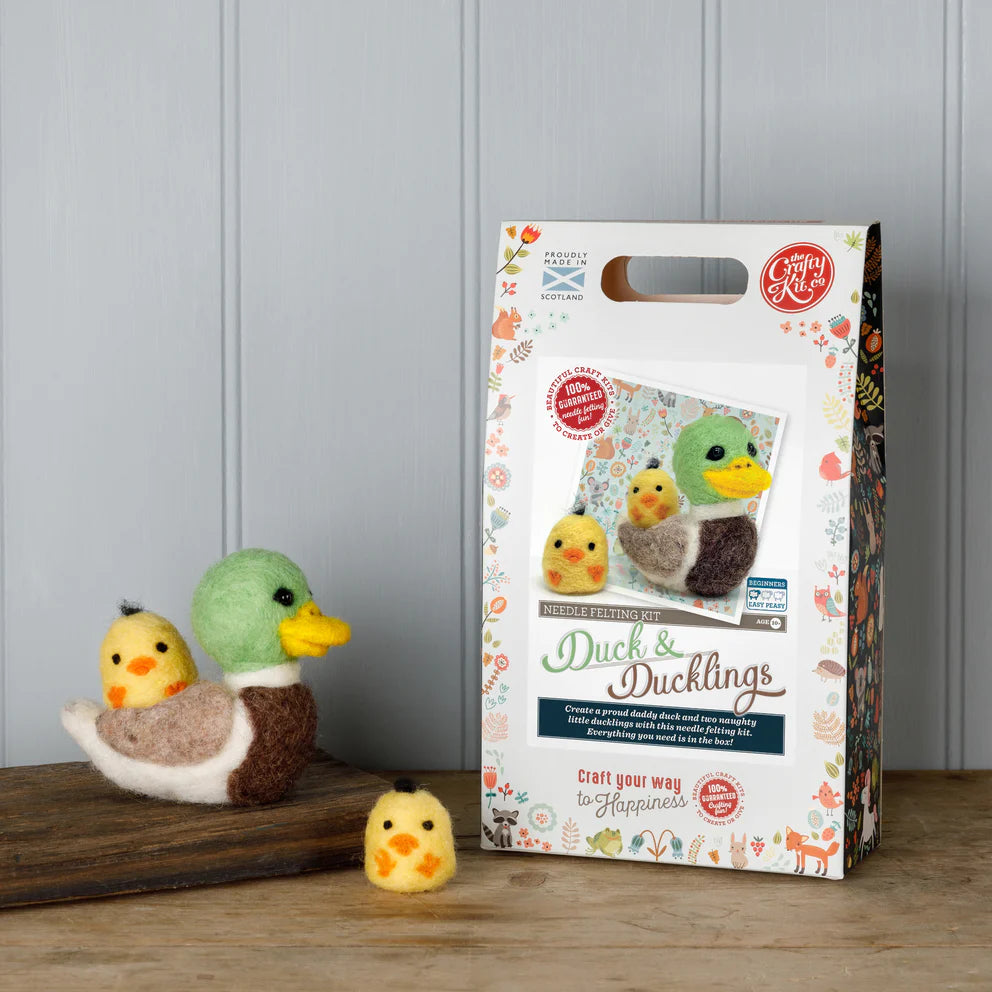 Duck & Ducklings Needle Felting Craft  Kit