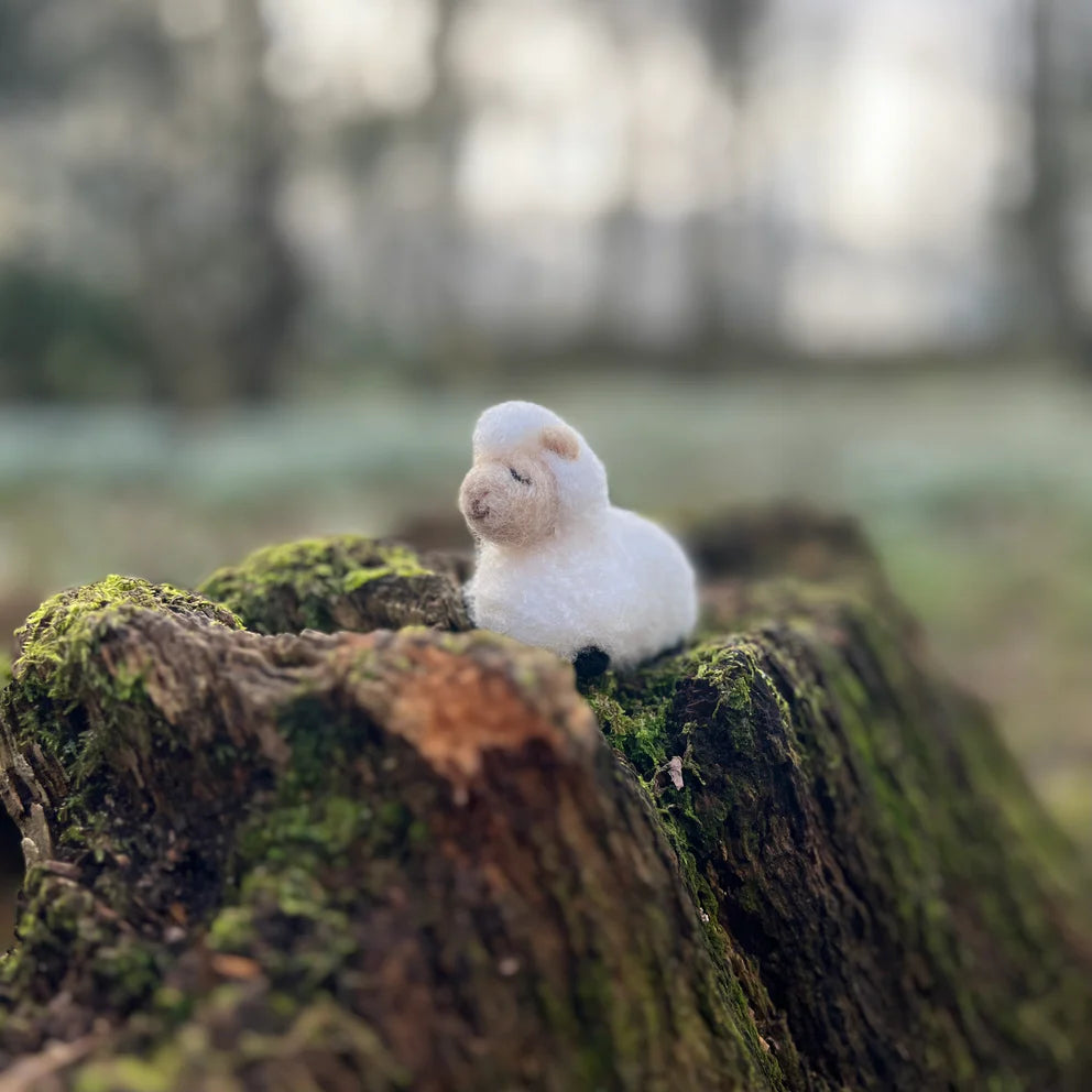 Sheep Family Needle Felting Craft  Kit