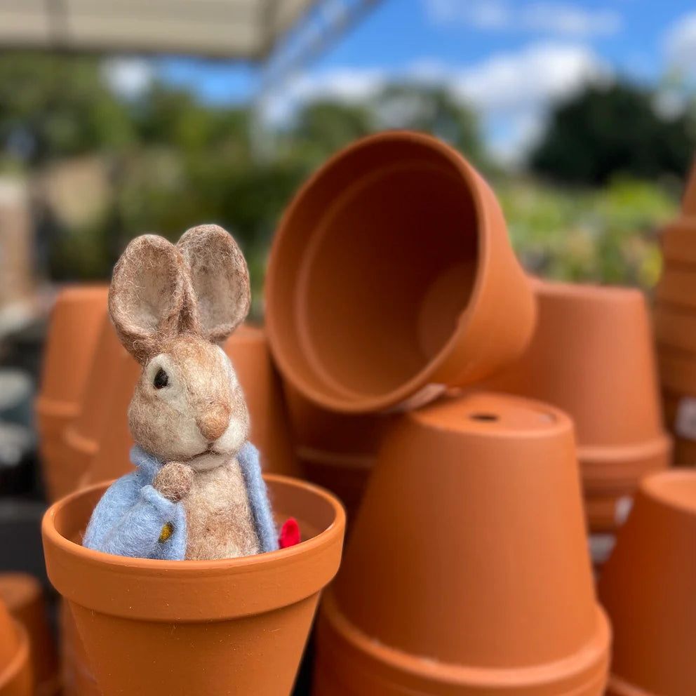 Beatrix Potter-Peter Rabbit and his Pocket Handkerchief Needle Felting Craft  Kit