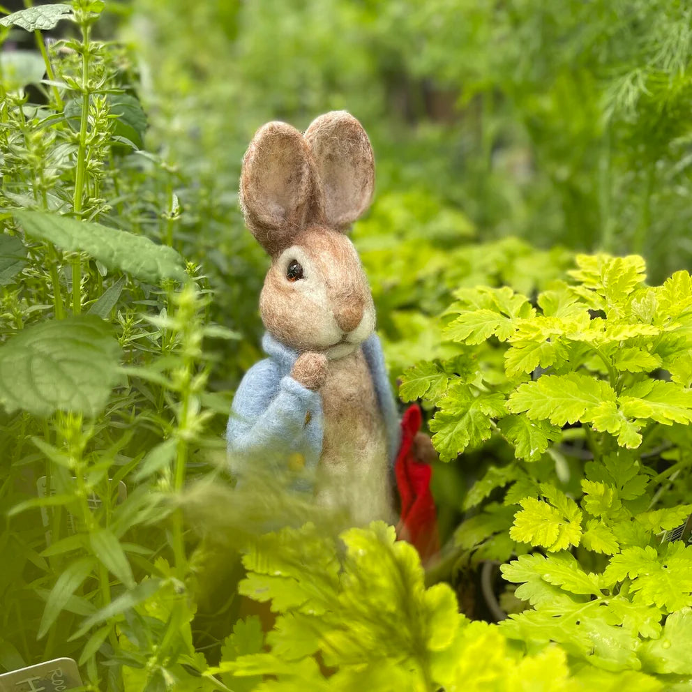 Beatrix Potter-Peter Rabbit and his Pocket Handkerchief Needle Felting Craft  Kit