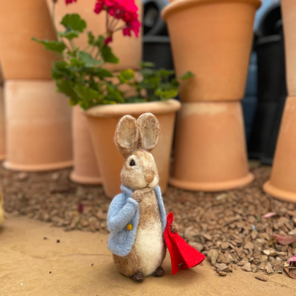 Beatrix Potter-Peter Rabbit and his Pocket Handkerchief Needle Felting Craft  Kit