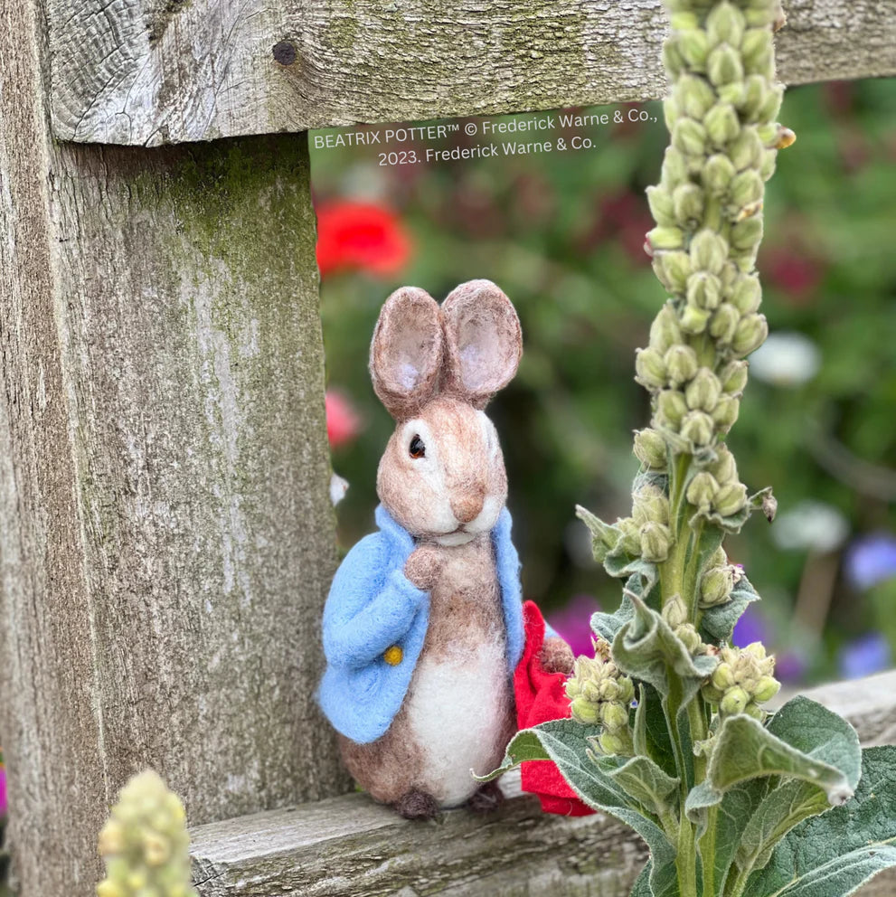 Beatrix Potter-Peter Rabbit and his Pocket Handkerchief Needle Felting Craft  Kit