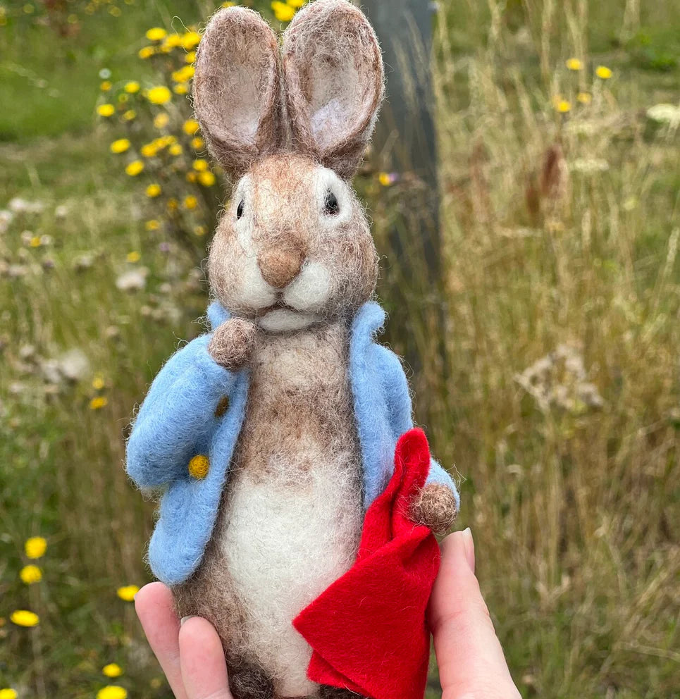 Beatrix Potter-Peter Rabbit and his Pocket Handkerchief Needle Felting Craft  Kit