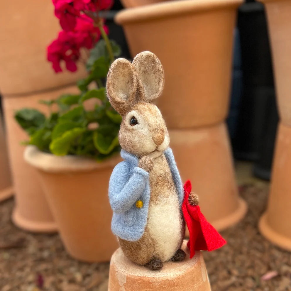 Beatrix Potter-Peter Rabbit and his Pocket Handkerchief Needle Felting Craft  Kit