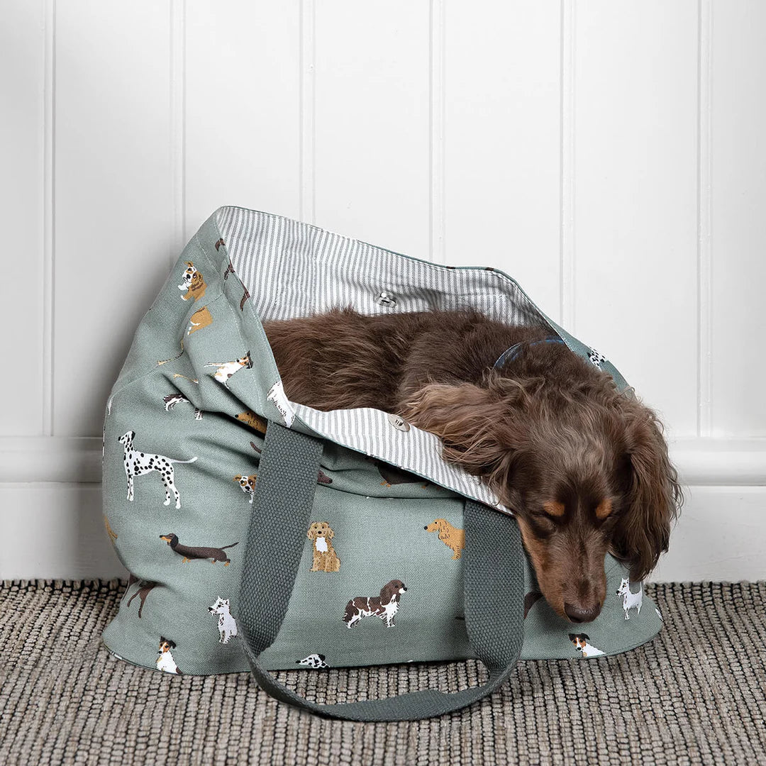 Sophie Allport Every Day Walking Bag Fetch