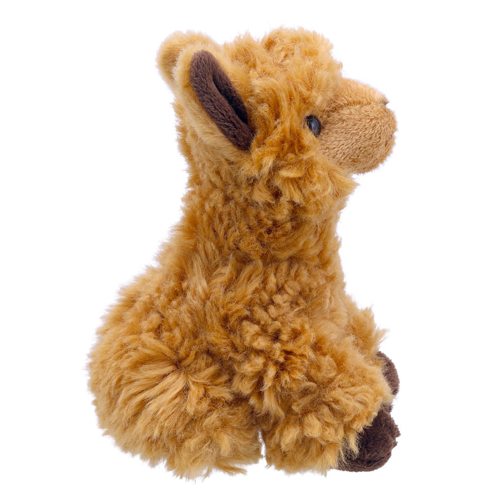 Mini Alpaca