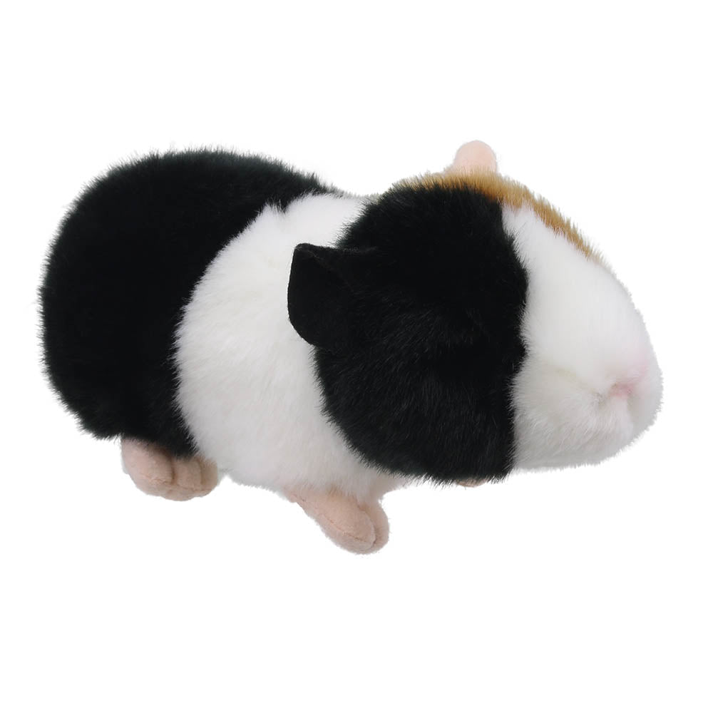 Mini Guinea Pig