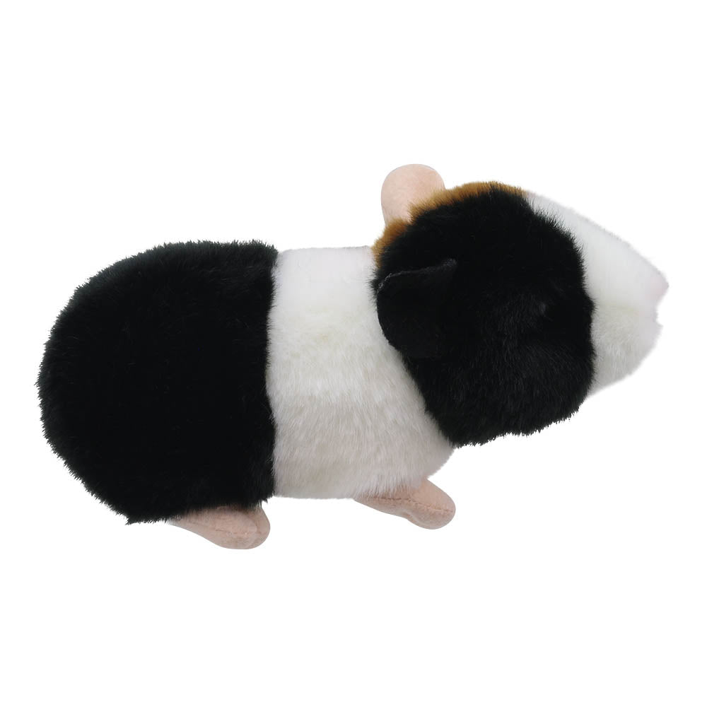 Mini Guinea Pig