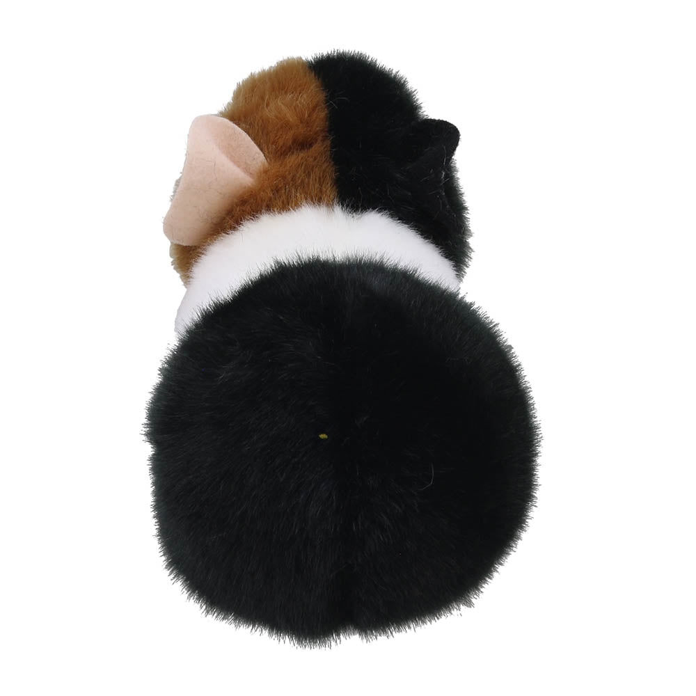 Mini Guinea Pig