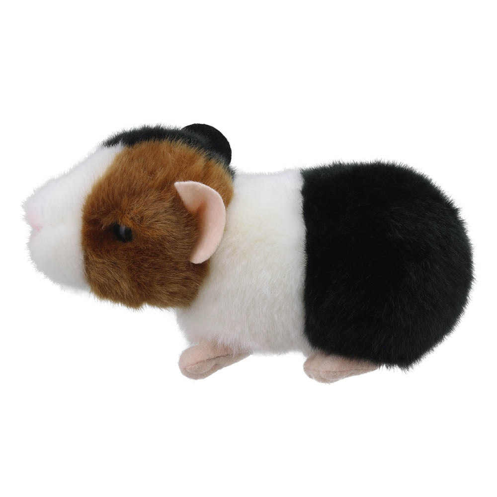 Mini Guinea Pig