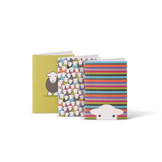 A6 Notebook - 3 Pack