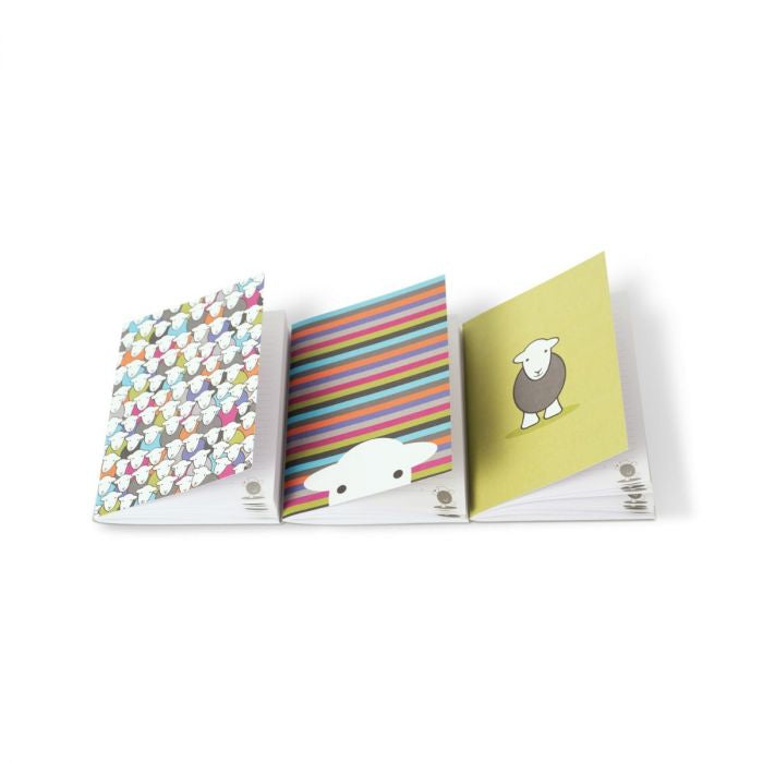 A6 Notebook - 3 Pack