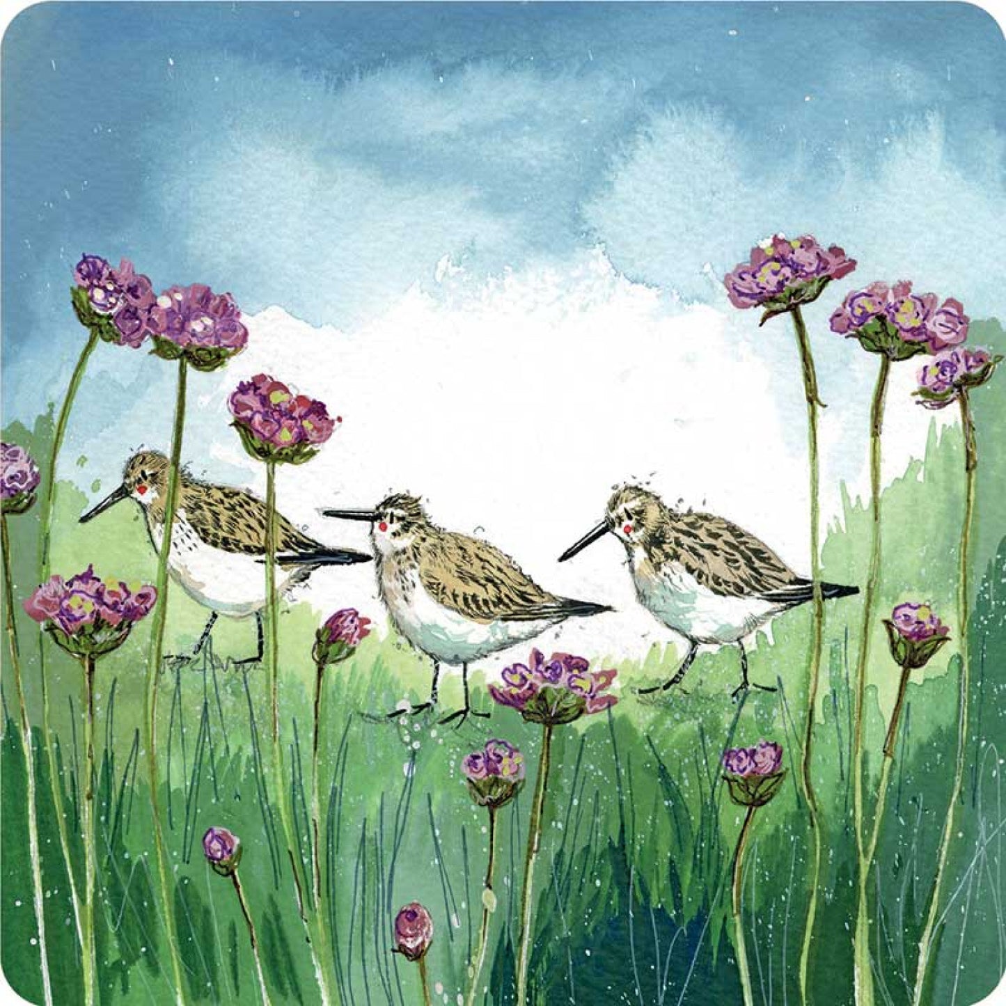 Dunlin and Thrift Coaster