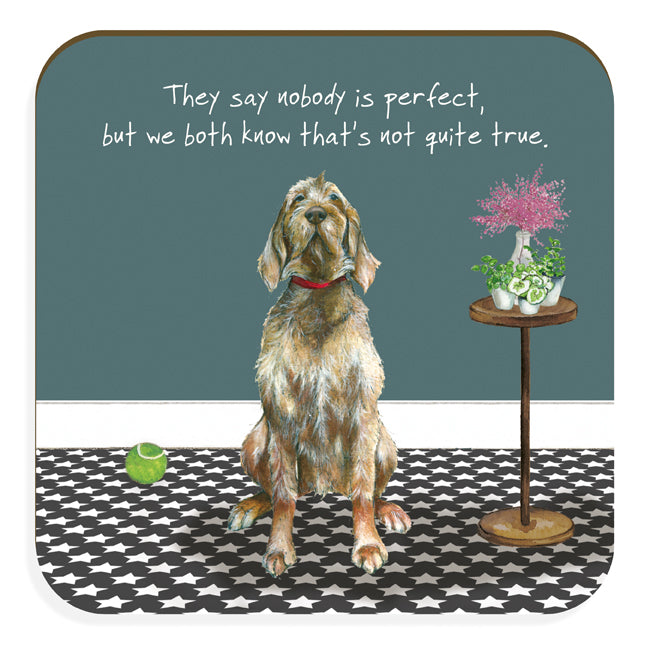 Wirehair Vizsla Dog Coaster | Little Dog Laughed