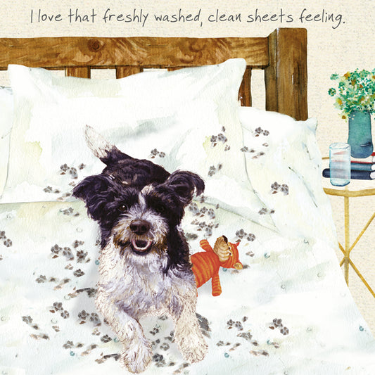 Cheeky Rescue Terrier Greeting Card | The Little Dog Laughed