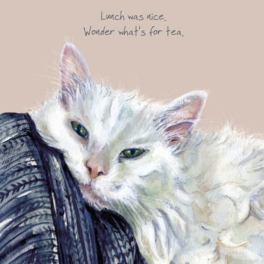 Maine Coon Cat Greeting Card | The Little Dog Laughed