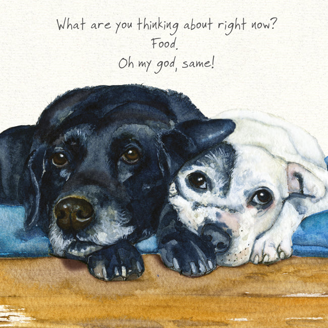 Black Labrador and Staffie Greeting Card | The Little Dog Laughed