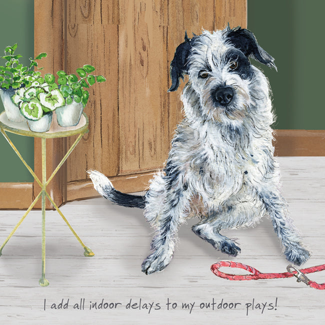 Collie Pointer X Greeting Card – Indoor delays | The Little Dog Laughed