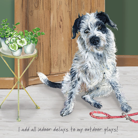 Collie Pointer X Greeting Card – Indoor delays | The Little Dog Laughed