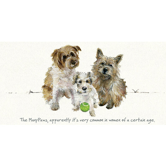 Terrier Dogs Greeting Card | The Little Dog Laughed