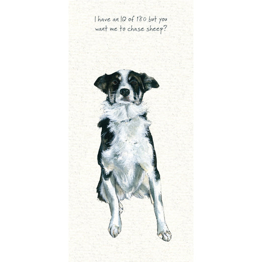 Border Collie Greeting Card | The Little Dog Laughed