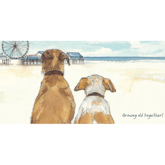 Battersea Rescue Dog Greeting Card | The Little Dog Laughed