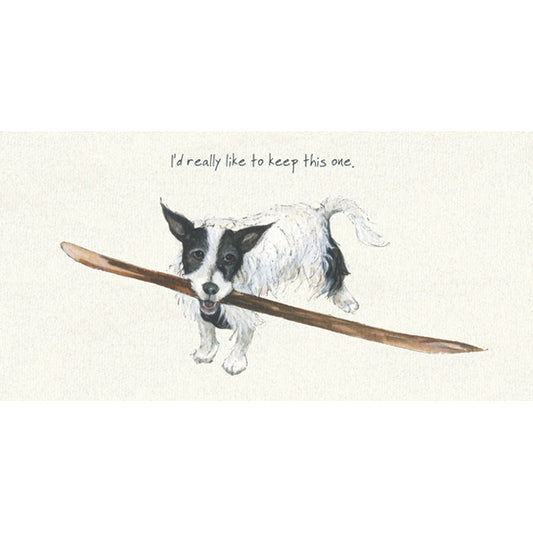 Rough Coated Jack Russell Greeting Card | The Little Dog Laughed