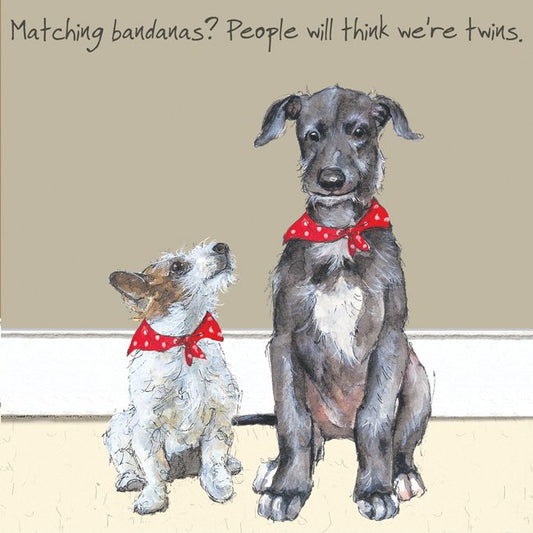 Scottish Deerhound & Terrier Greeting Card – Twins | The Little Dog Laughed