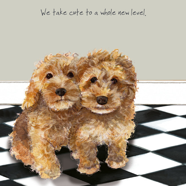 Cockapoo Puppies Greeting Card | The Little Dog Laughed