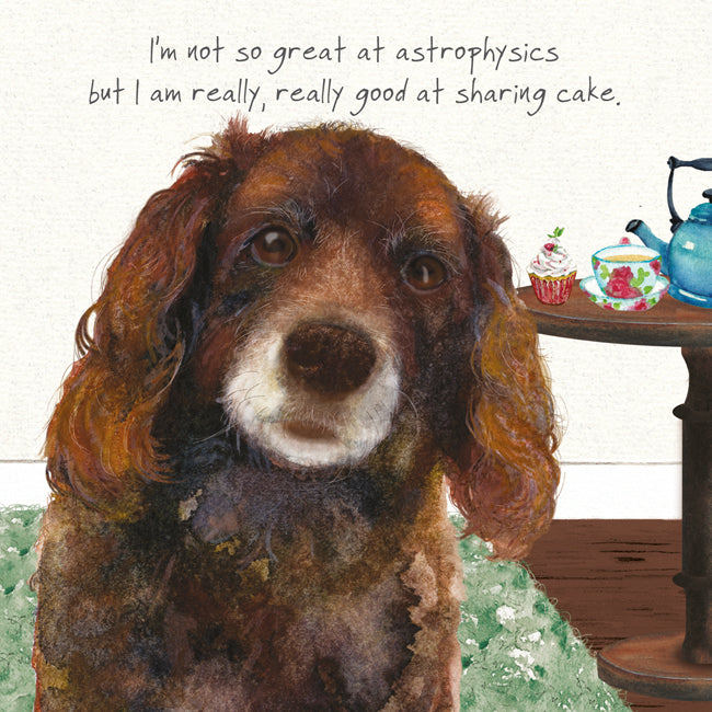 Spaniel Dog Greeting Card | The Little Dog Laughed